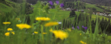 Sommer in den Dolomiten