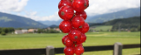 Sommer in den Dolomiten